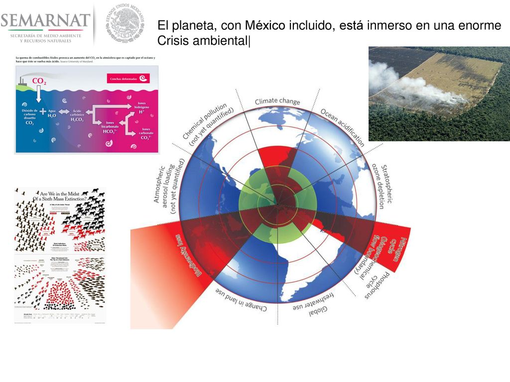 El planeta, con México incluido, está inmerso en una enorme