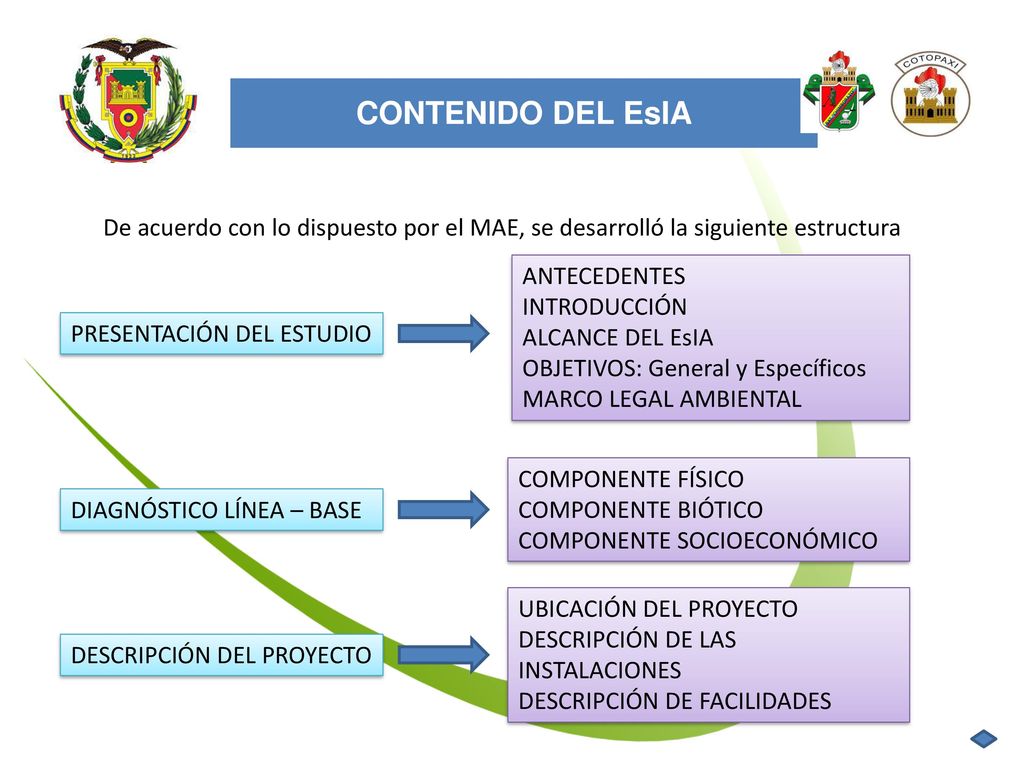 CONTENIDO DEL EsIA. De acuerdo con lo dispuesto por el MAE, se desarrolló la siguiente estructura.