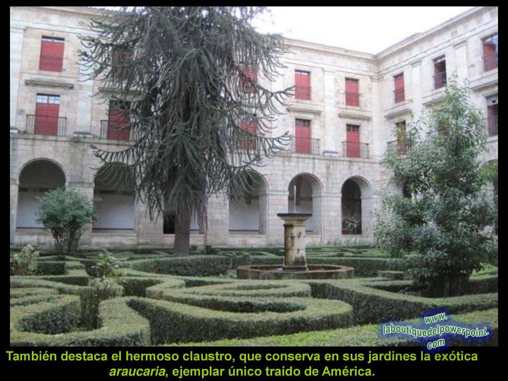 También destaca el hermoso claustro, que conserva en sus jardines la exótica araucaria, ejemplar único traído de América.