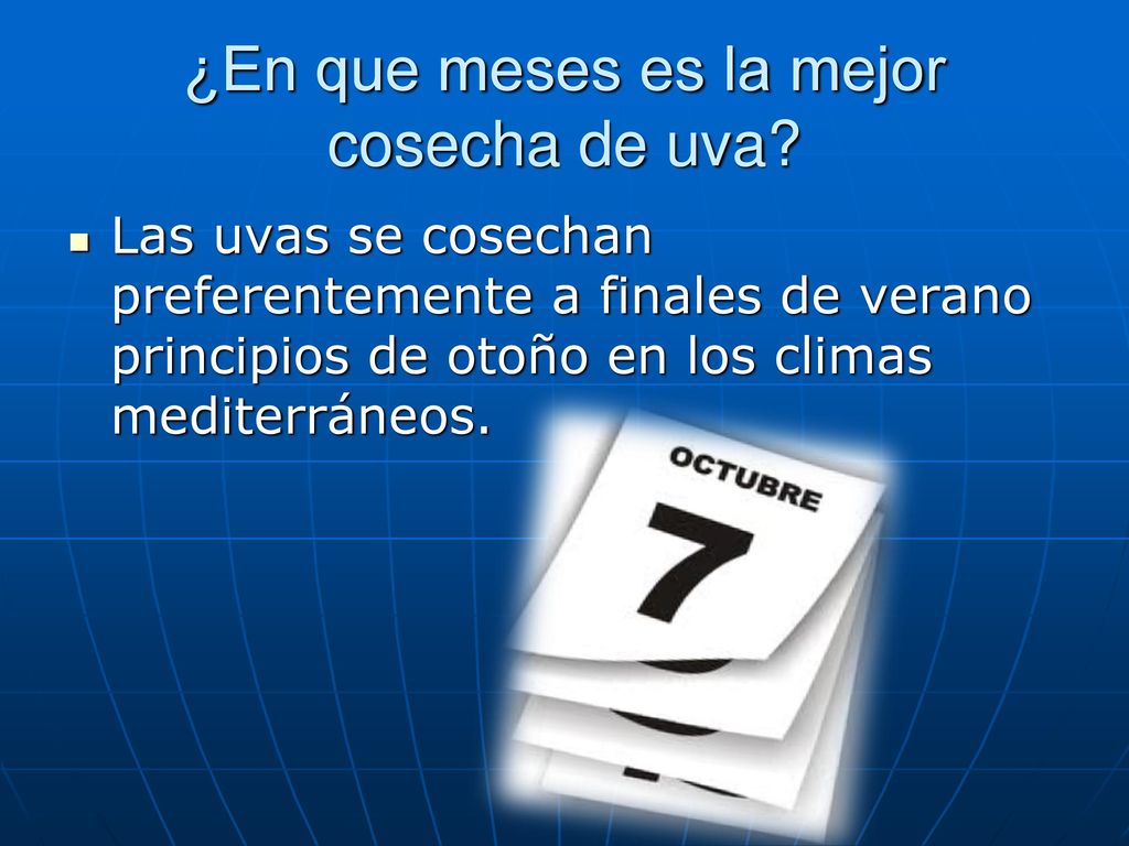 ¿En que meses es la mejor cosecha de uva