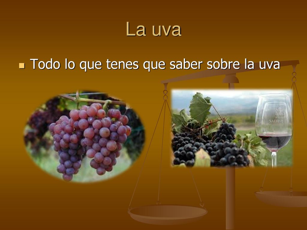 La uva Todo lo que tenes que saber sobre la uva