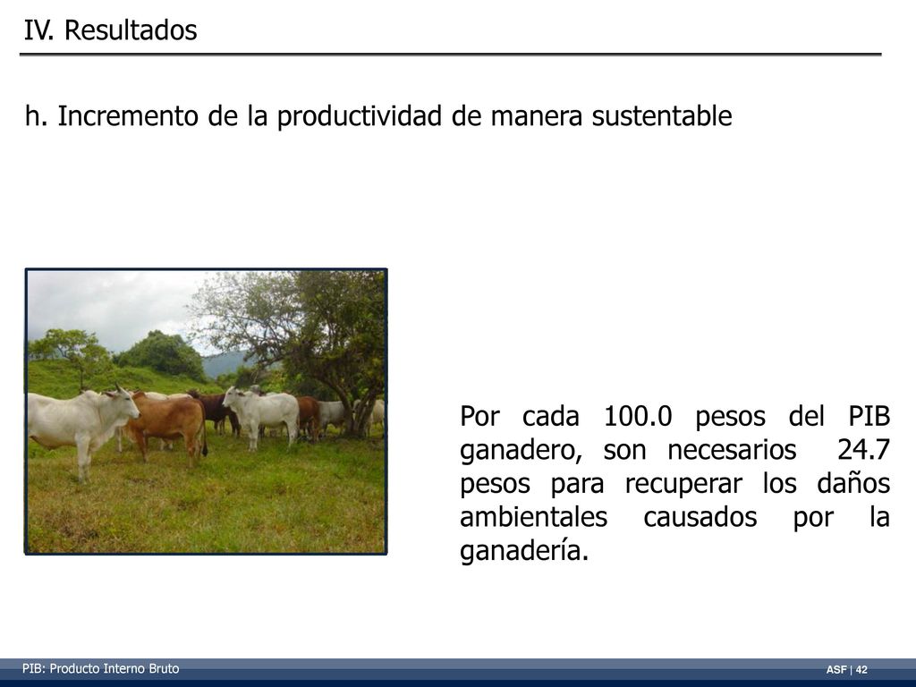 h. Incremento de la productividad de manera sustentable