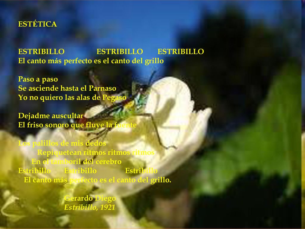 ESTÉTICA ESTRIBILLO ESTRIBILLO ESTRIBILLO. El canto más perfecto es el canto del grillo. Paso a paso.