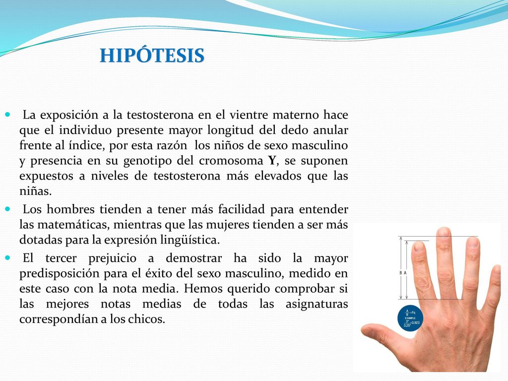 La exposición a la testosterona en el vientre materno hace que el individuo presente mayor longitud del dedo anular frente al índice, por esta razón los niños de sexo masculino y presencia en su genotipo del cromosoma Y, se suponen expuestos a niveles de testosterona más elevados que las niñas.