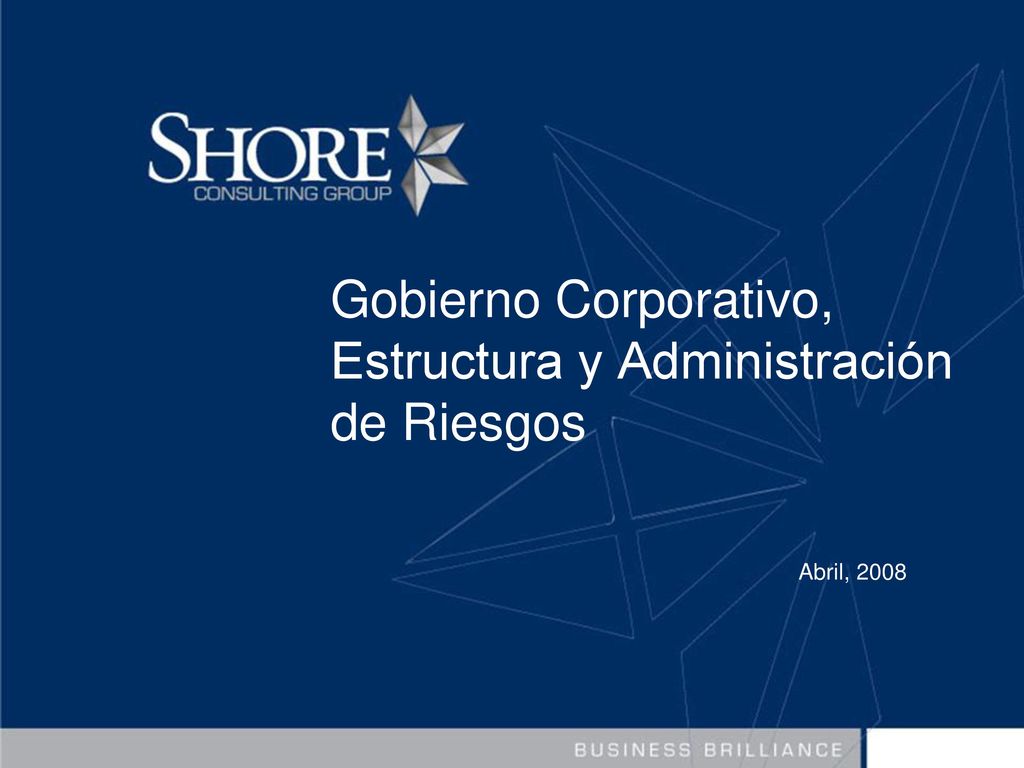 Gobierno Corporativo, Estructura y Administración de Riesgos