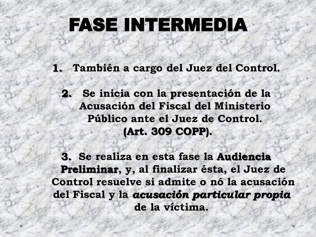 FASE INTERMEDIA 1. También a cargo del Juez del Control.