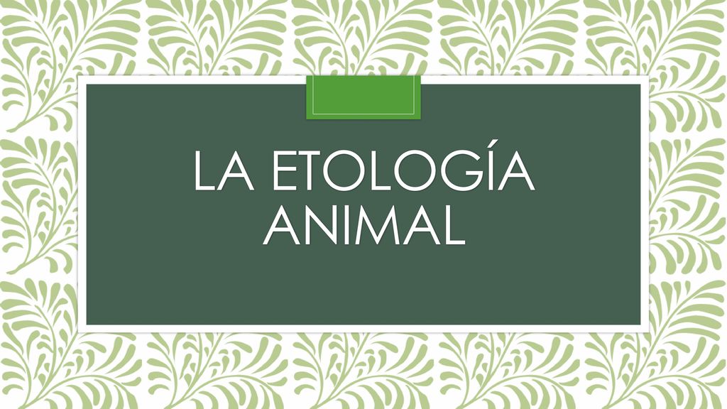 La etología animal