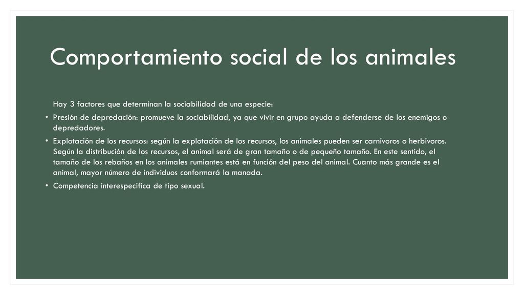 Comportamiento social de los animales