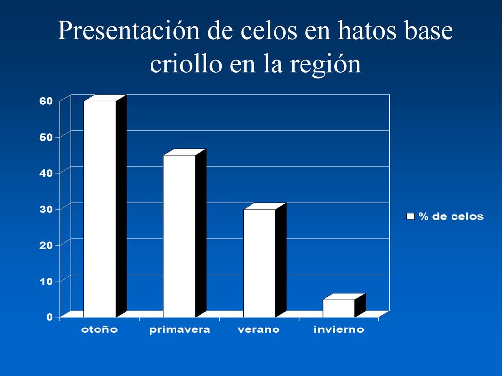 Presentación de celos en hatos base criollo en la región
