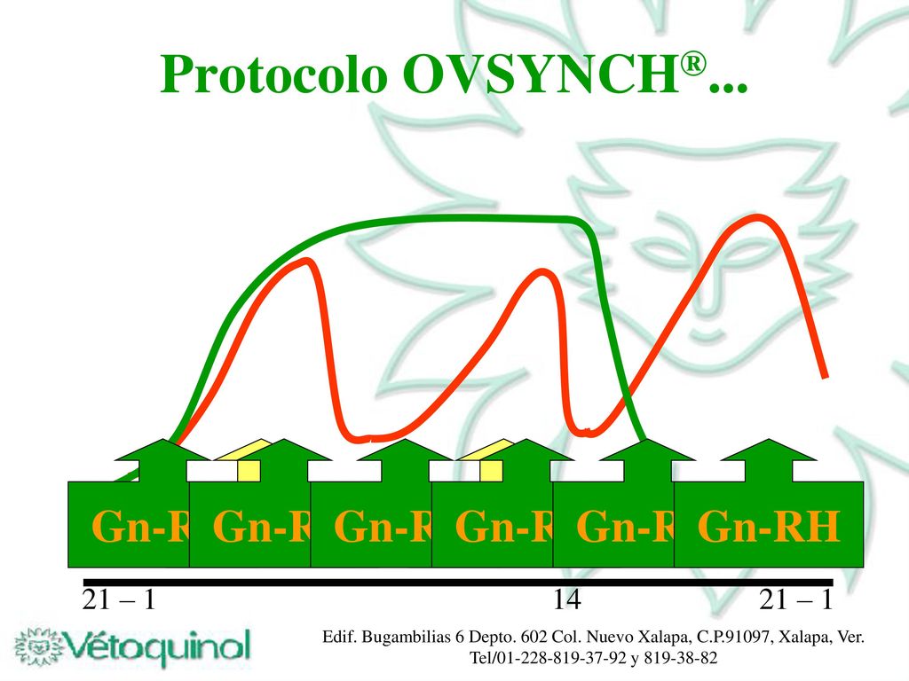 Protocolo OVSYNCH®... Gn-RH Gn-RH Gn-RH Gn-RH Gn-RH Gn-RH Gn-RH Gn-RH
