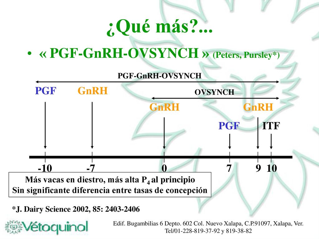 ¿Qué más ... « PGF-GnRH-OVSYNCH » (Peters, Pursley*) PGF GnRH GnRH