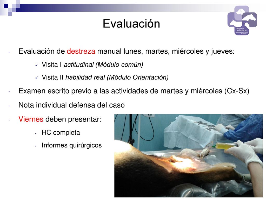 Evaluación Evaluación de destreza manual lunes, martes, miércoles y jueves: Visita I actitudinal (Módulo común)