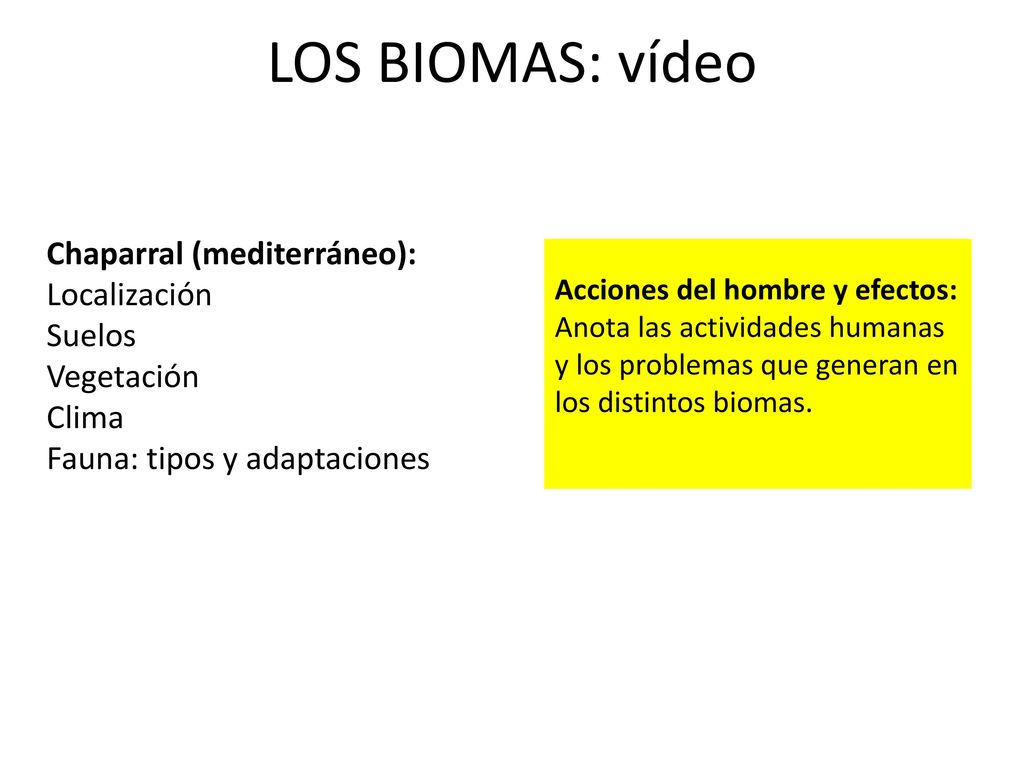 LOS BIOMAS: vídeo Chaparral (mediterráneo): Localización Suelos Vegetación Clima Fauna: tipos y adaptaciones.