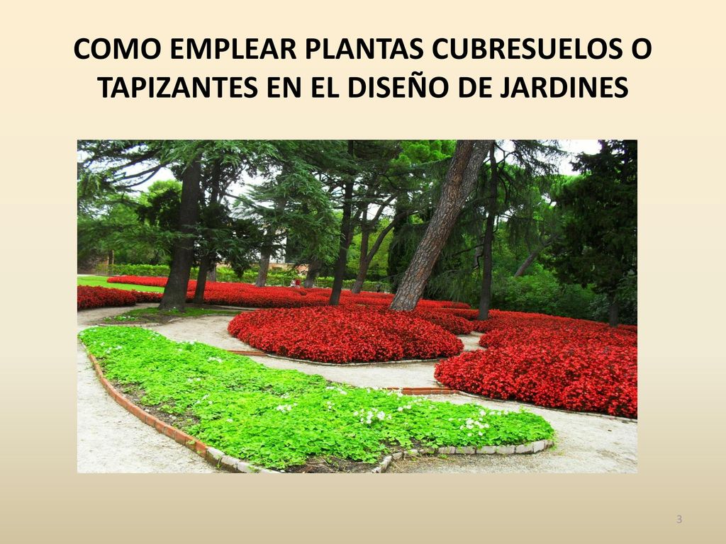 COMO EMPLEAR PLANTAS CUBRESUELOS O TAPIZANTES EN EL DISEÑO DE JARDINES
