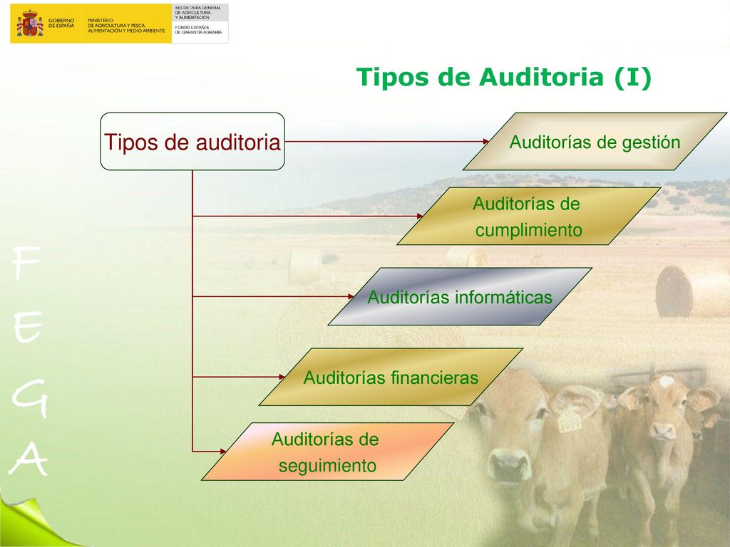 Tipos de auditoria Tipos de Auditoria (I) Auditorías de gestión