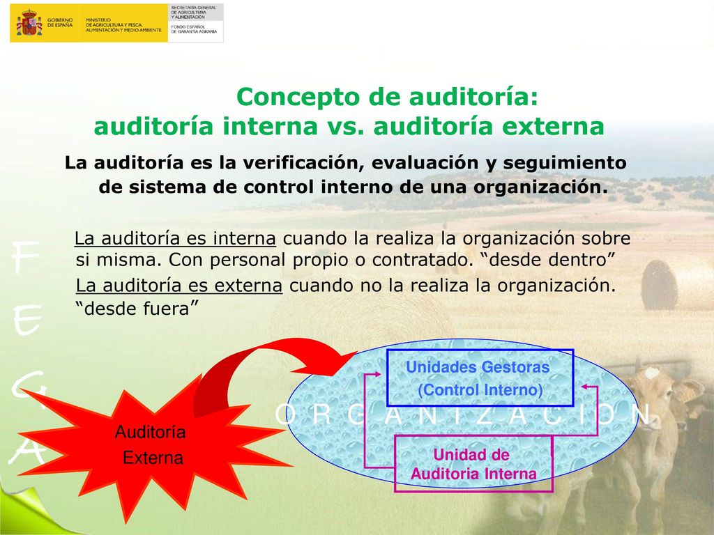 Concepto de auditoría: auditoría interna vs. auditoría externa