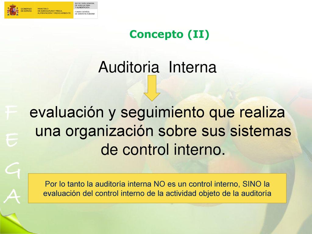 Concepto (II) Auditoria Interna. evaluación y seguimiento que realiza una organización sobre sus sistemas de control interno.