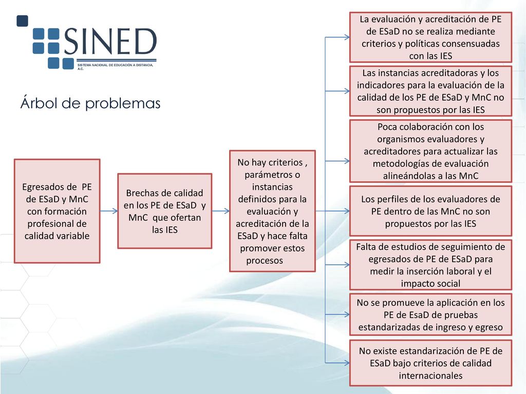Brechas de calidad en los PE de ESaD y MnC que ofertan las IES