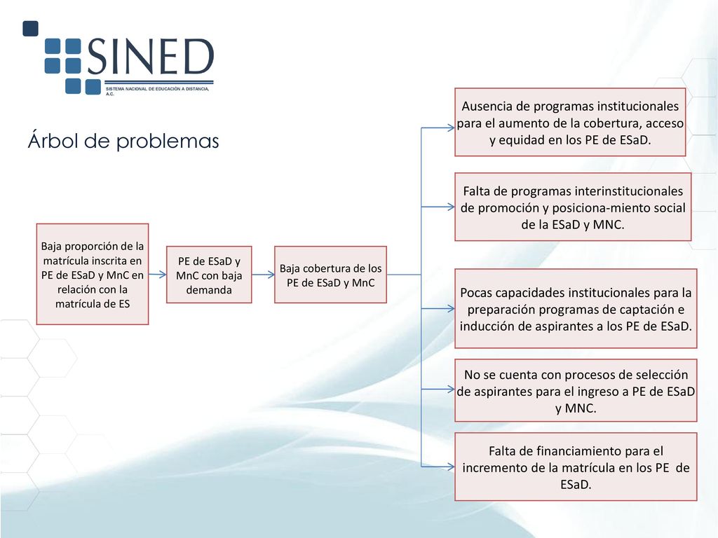 Ausencia de programas institucionales para el aumento de la cobertura, acceso y equidad en los PE de ESaD.