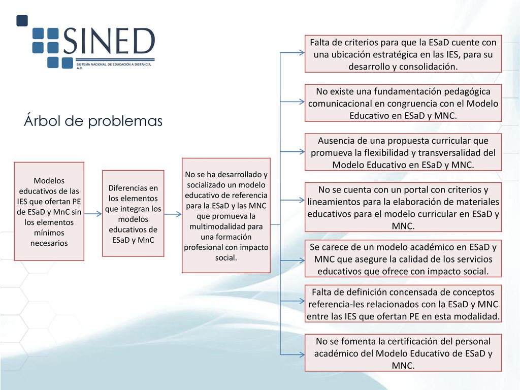 Falta de criterios para que la ESaD cuente con una ubicación estratégica en las IES, para su desarrollo y consolidación.