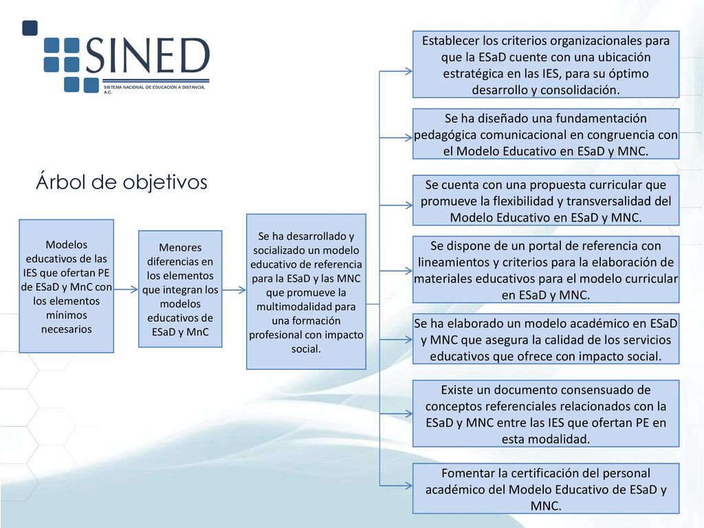 Establecer los criterios organizacionales para que la ESaD cuente con una ubicación estratégica en las IES, para su óptimo desarrollo y consolidación.