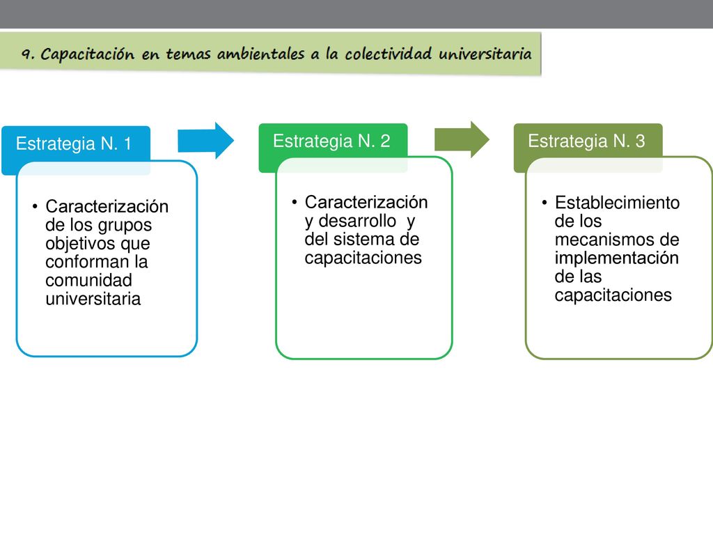 Estrategia N. 1 Caracterización de los grupos objetivos que conforman la comunidad universitaria. Estrategia N. 2.
