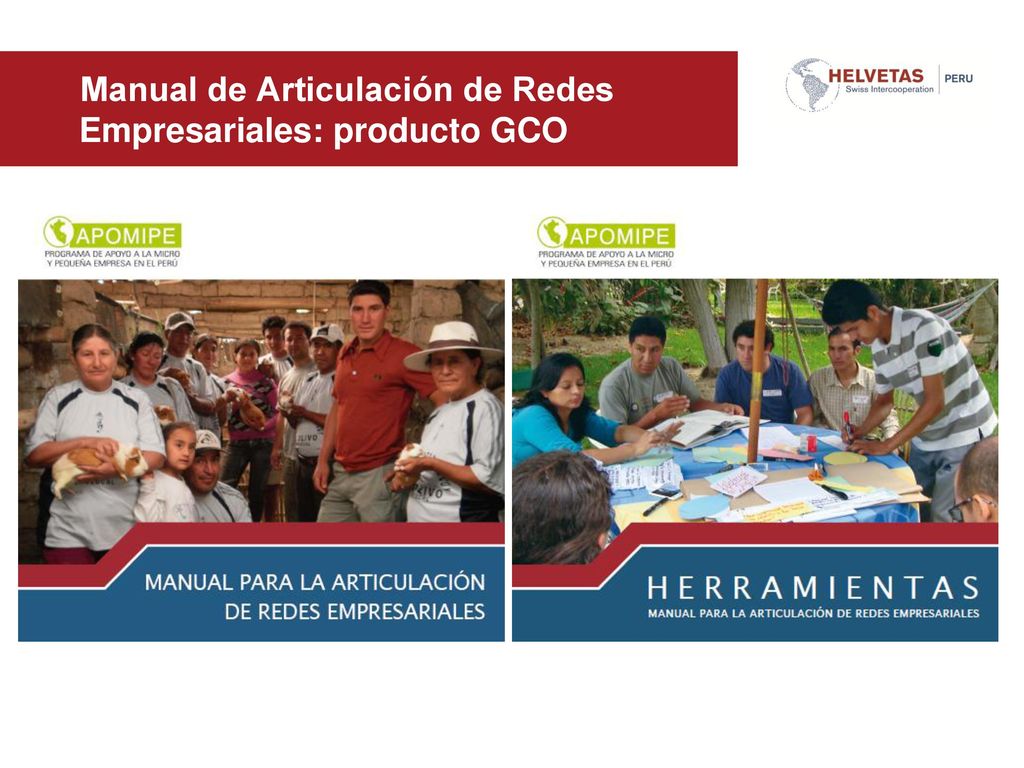 Manual de Articulación de Redes Empresariales: producto GCO