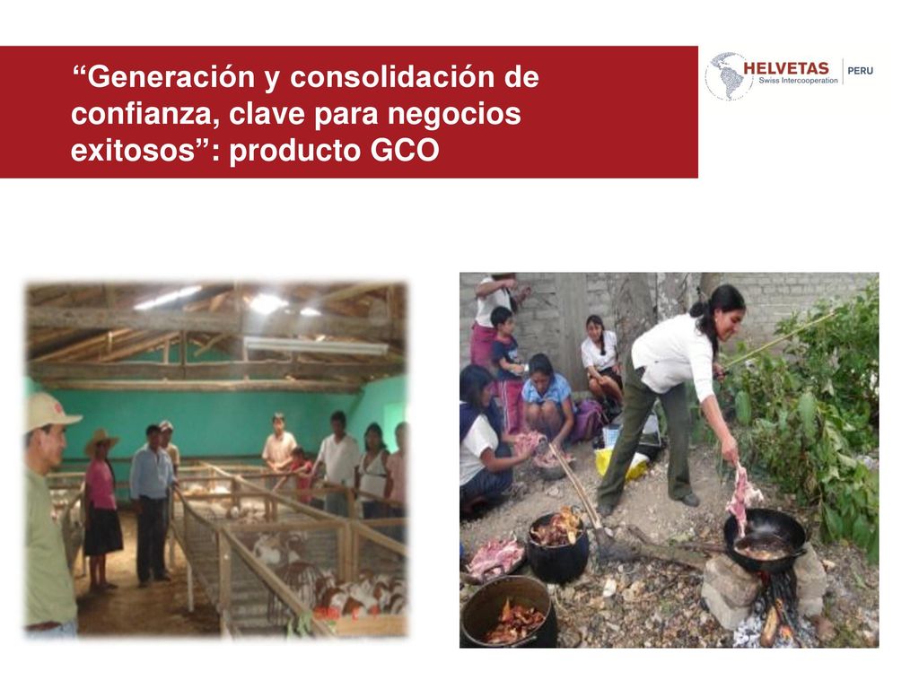 Generación y consolidación de confianza, clave para negocios exitosos : producto GCO