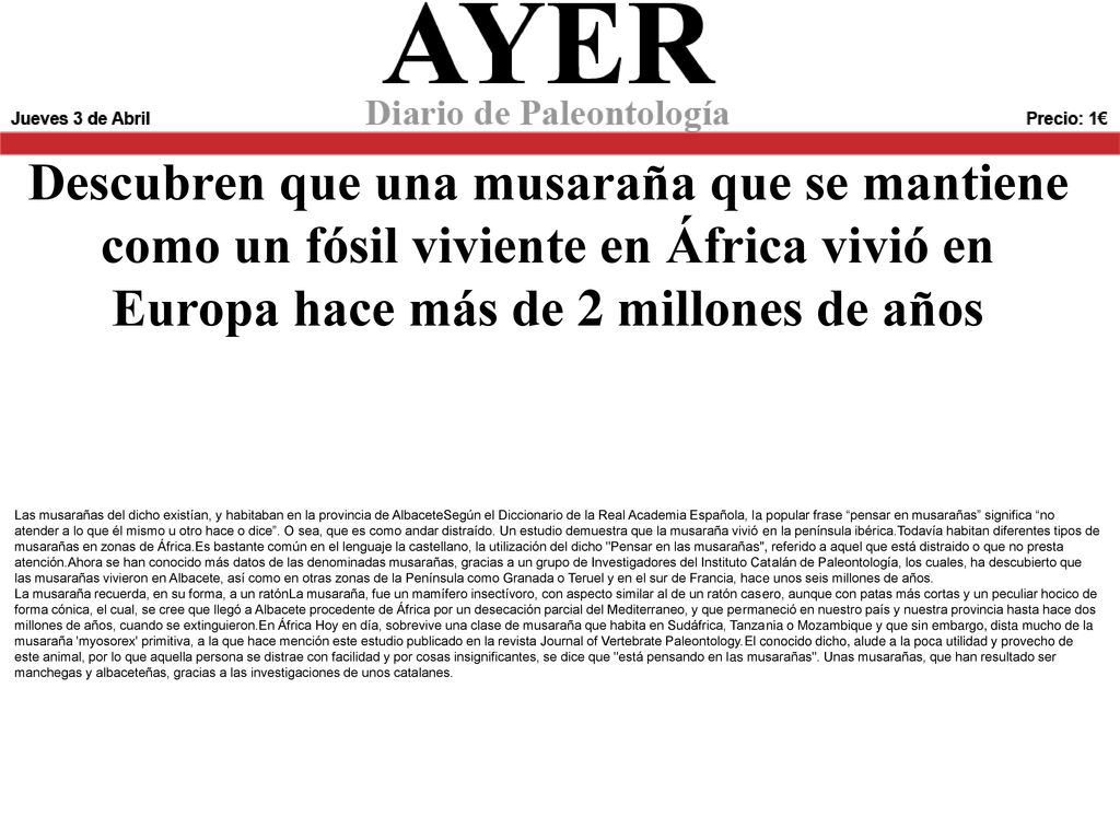 Descubren que una musaraña que se mantiene como un fósil viviente en África vivió en Europa hace más de 2 millones de años