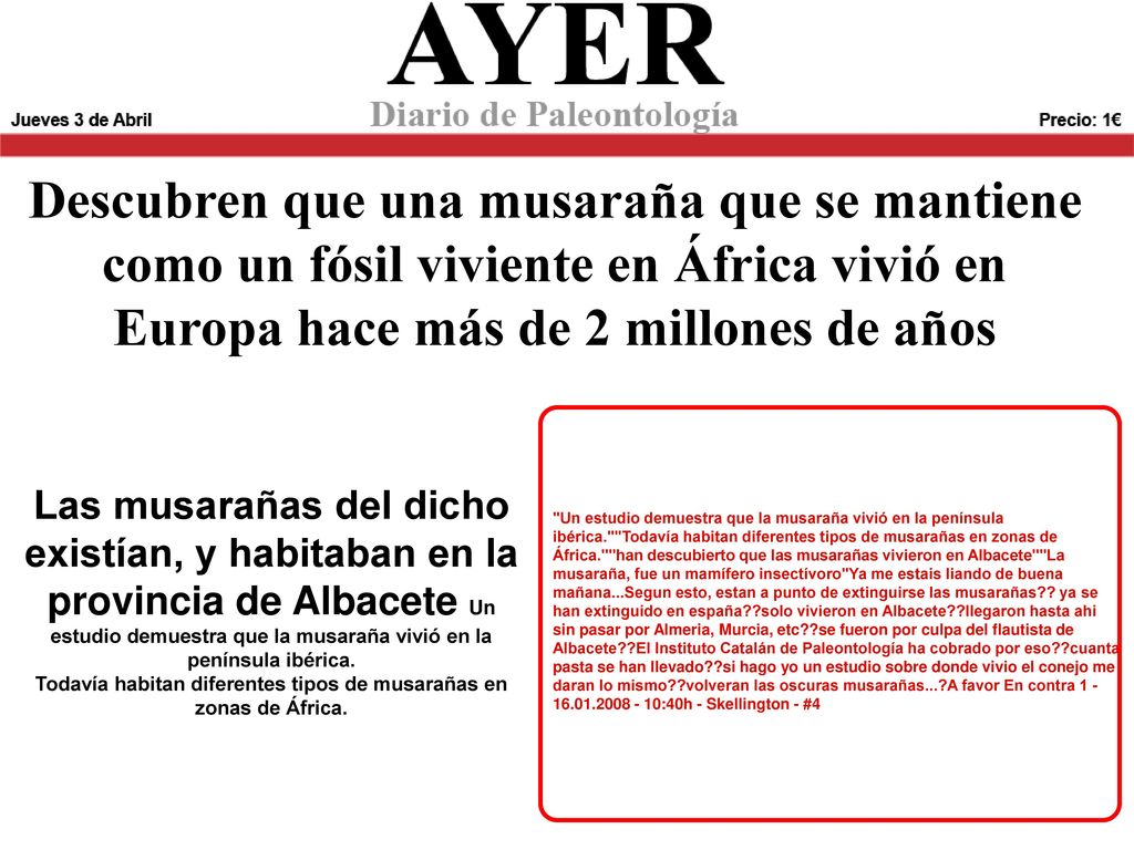 Todavía habitan diferentes tipos de musarañas en zonas de África.