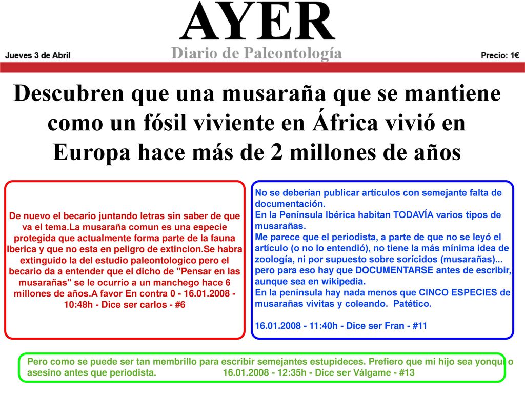 Descubren que una musaraña que se mantiene como un fósil viviente en África vivió en Europa hace más de 2 millones de años