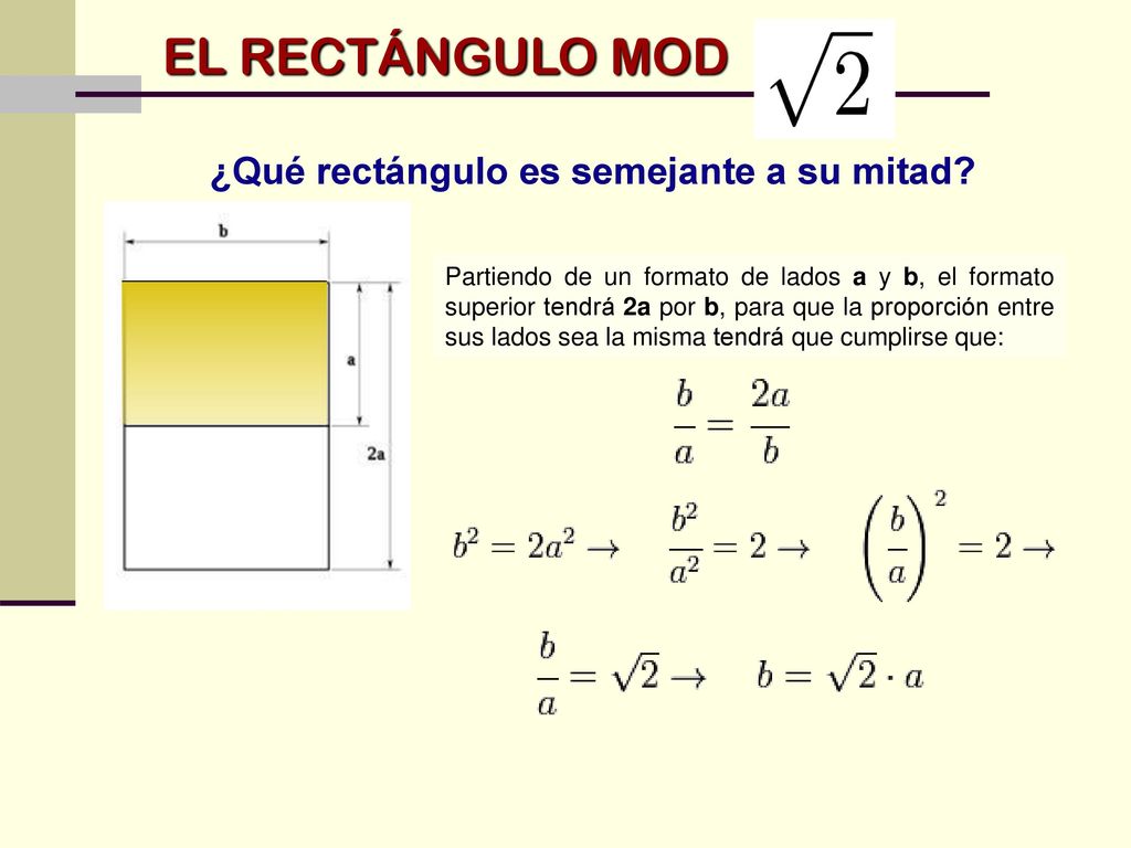 EL RECTÁNGULO MOD ¿Qué rectángulo es semejante a su mitad