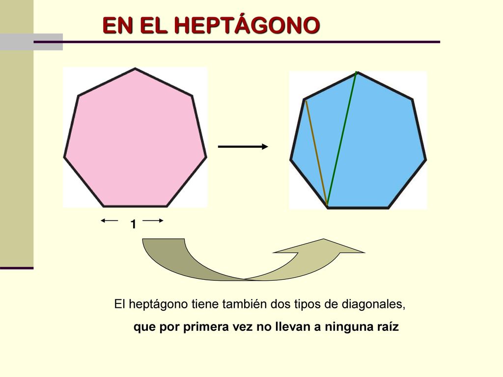 que por primera vez no llevan a ninguna raíz