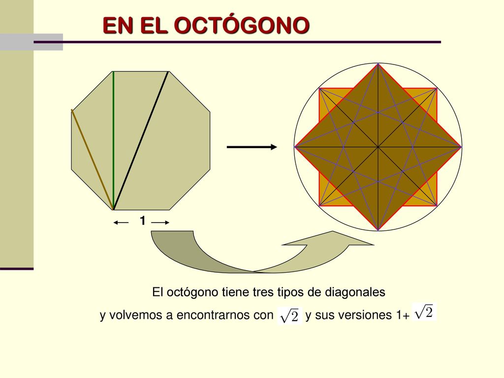 El octógono tiene tres tipos de diagonales