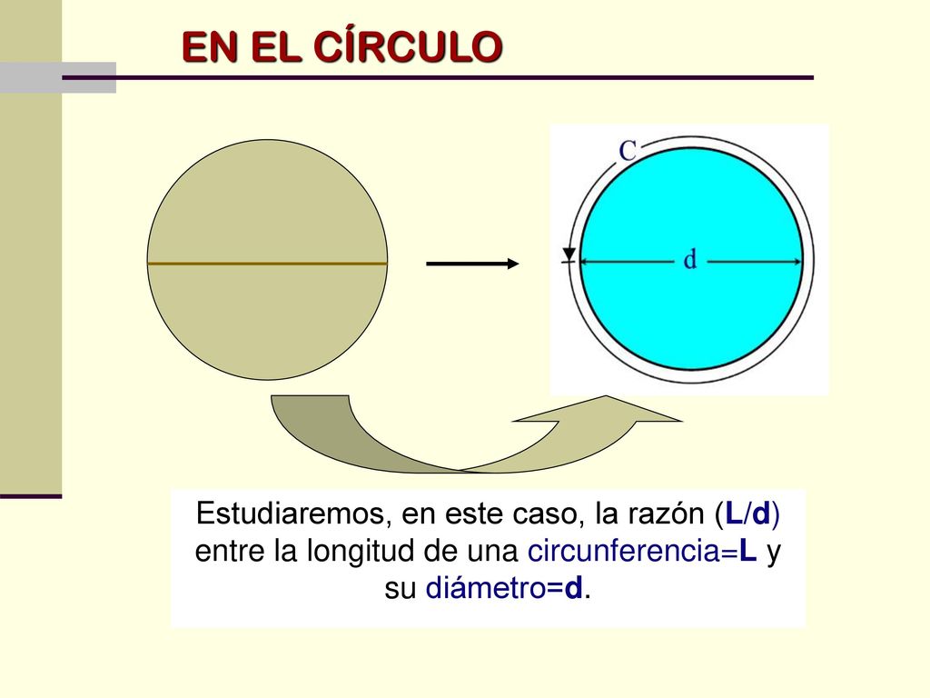 EN EL CÍRCULO Estudiaremos, en este caso, la razón (L/d) entre la longitud de una circunferencia=L y su diámetro=d.
