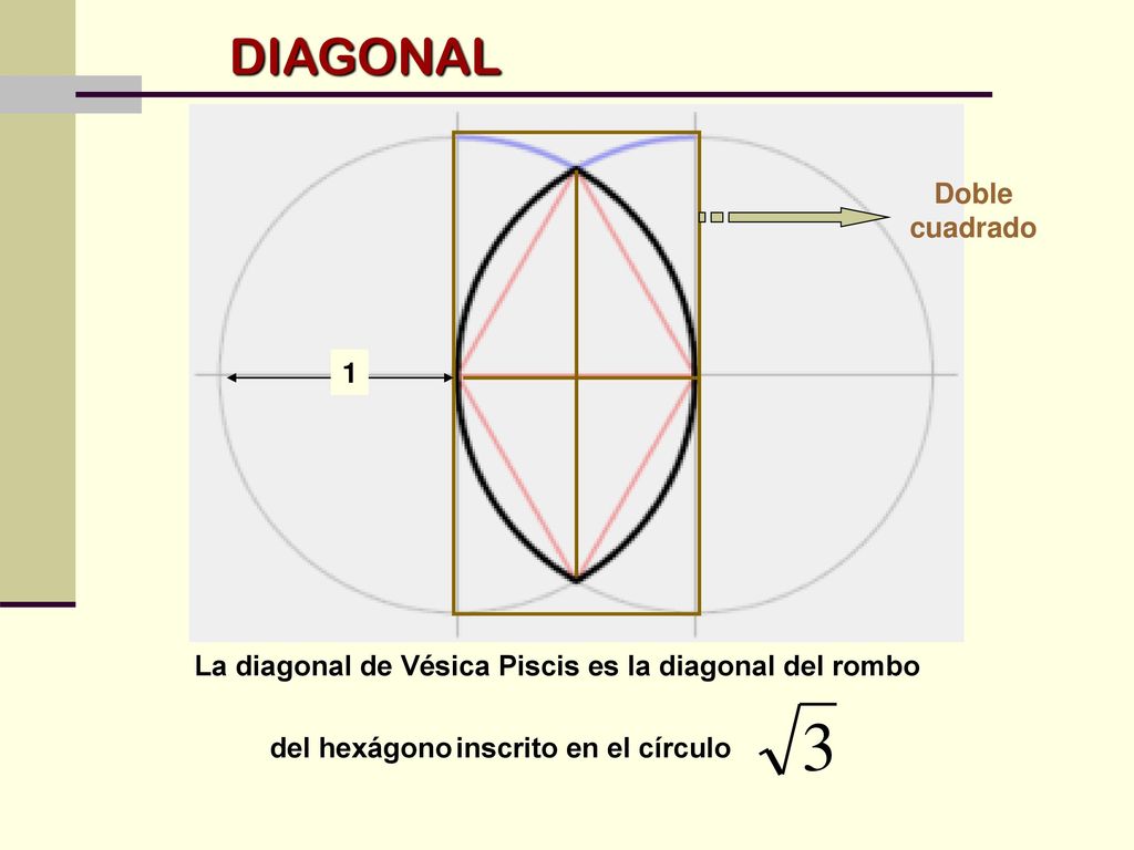 La diagonal de Vésica Piscis es la diagonal del rombo