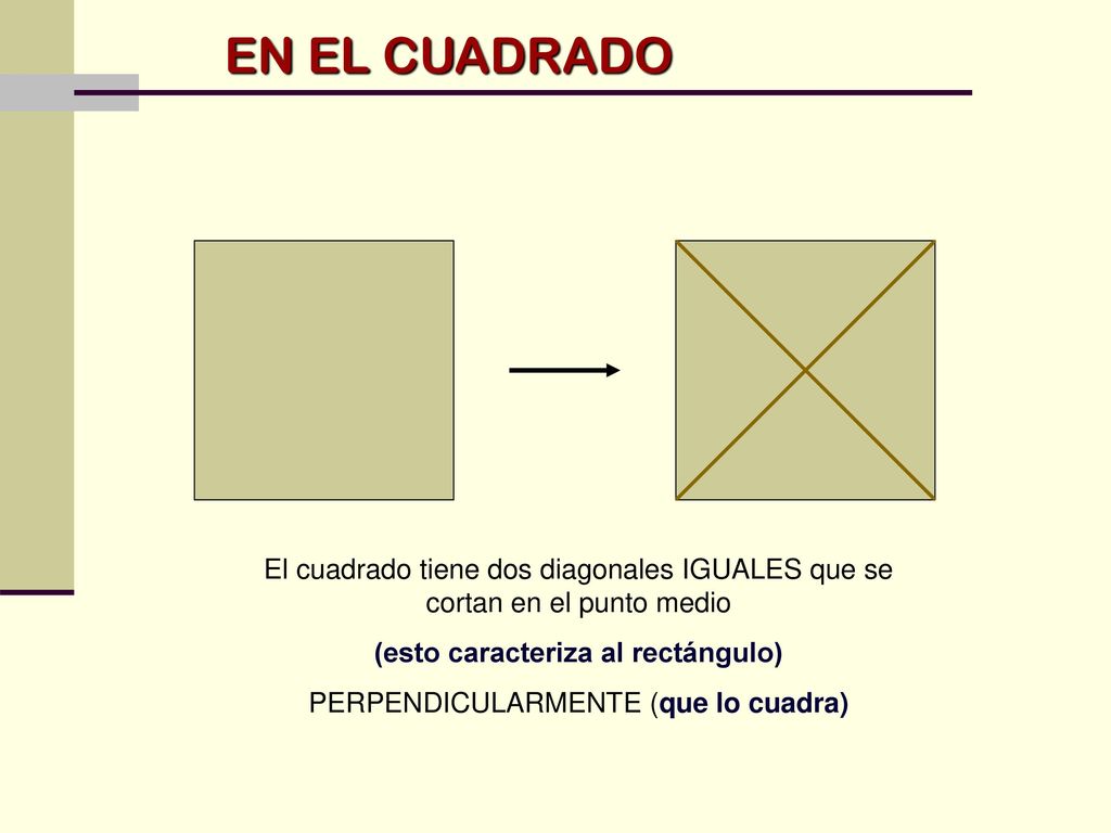 EN EL CUADRADO El cuadrado tiene dos diagonales IGUALES que se cortan en el punto medio. (esto caracteriza al rectángulo)