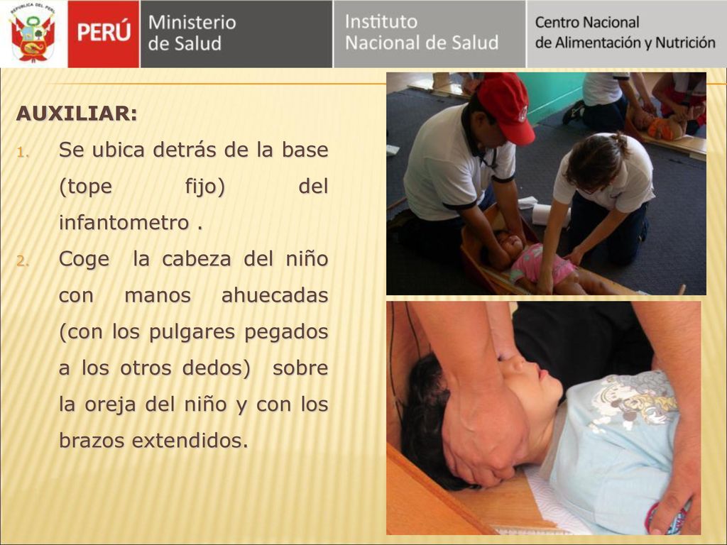 AUXILIAR: Se ubica detrás de la base (tope fijo) del infantometro .