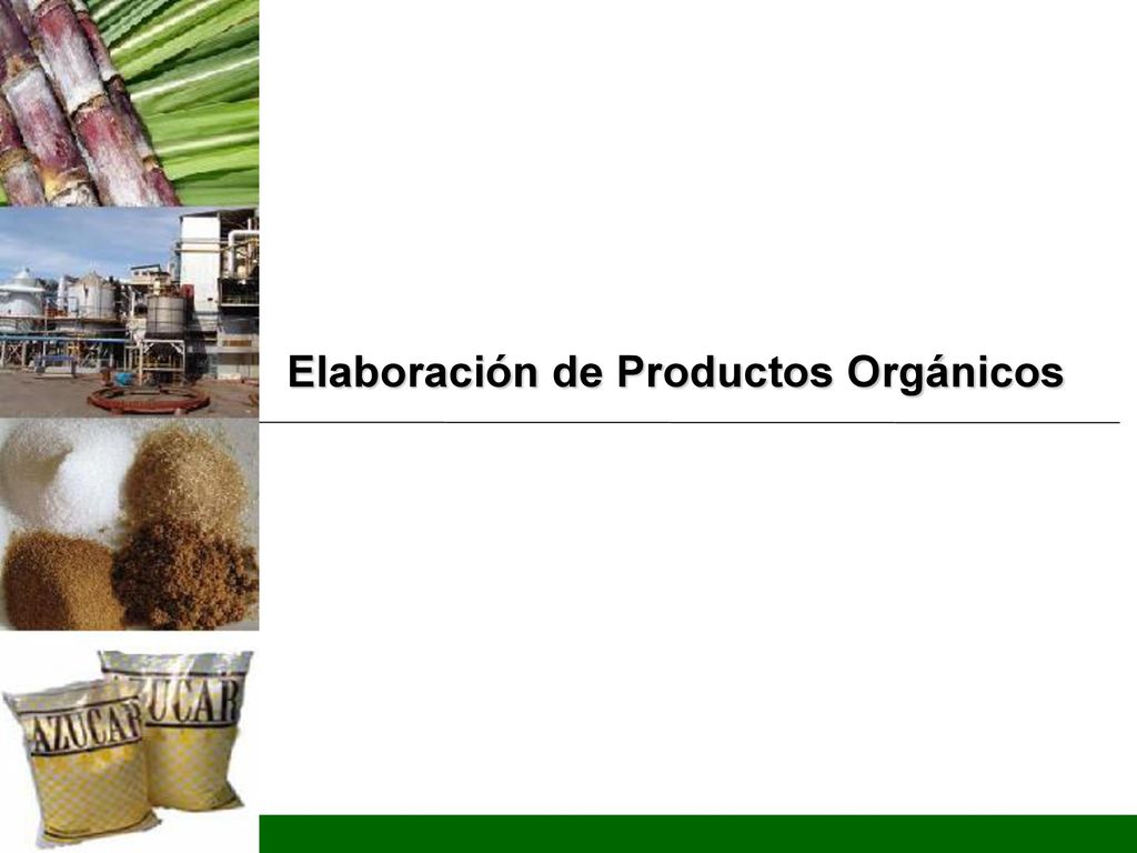 Elaboración de Productos Orgánicos