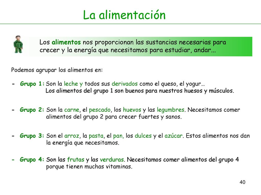 La alimentación Los alimentos nos proporcionan las sustancias necesarias para crecer y la energía que necesitamos para estudiar, andar...