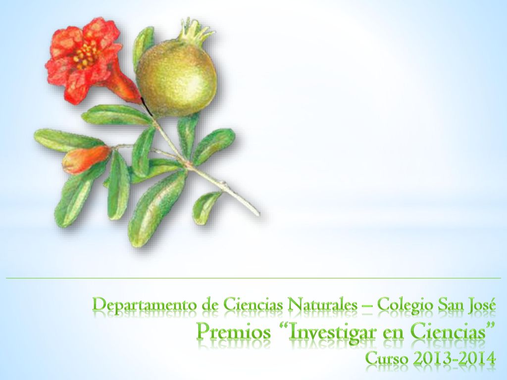 Departamento de Ciencias Naturales – Colegio San José Premios Investigar en Ciencias Curso