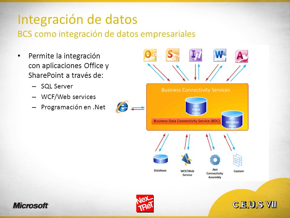 Integración de datos BCS como integración de datos empresariales