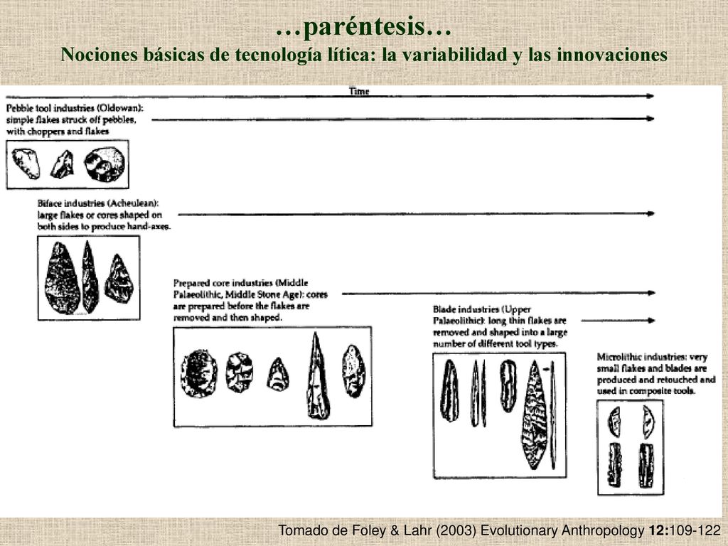 …paréntesis… Nociones básicas de tecnología lítica: la variabilidad y las innovaciones.