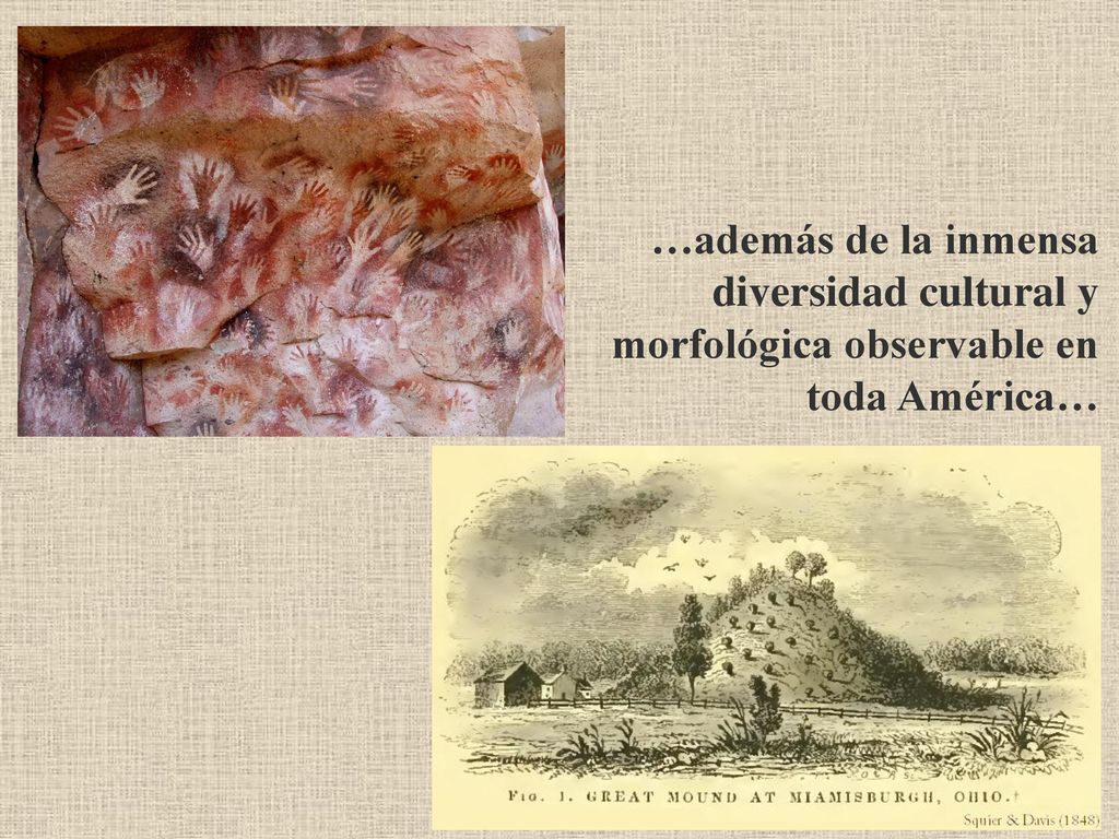 …además de la inmensa diversidad cultural y morfológica observable en toda América…