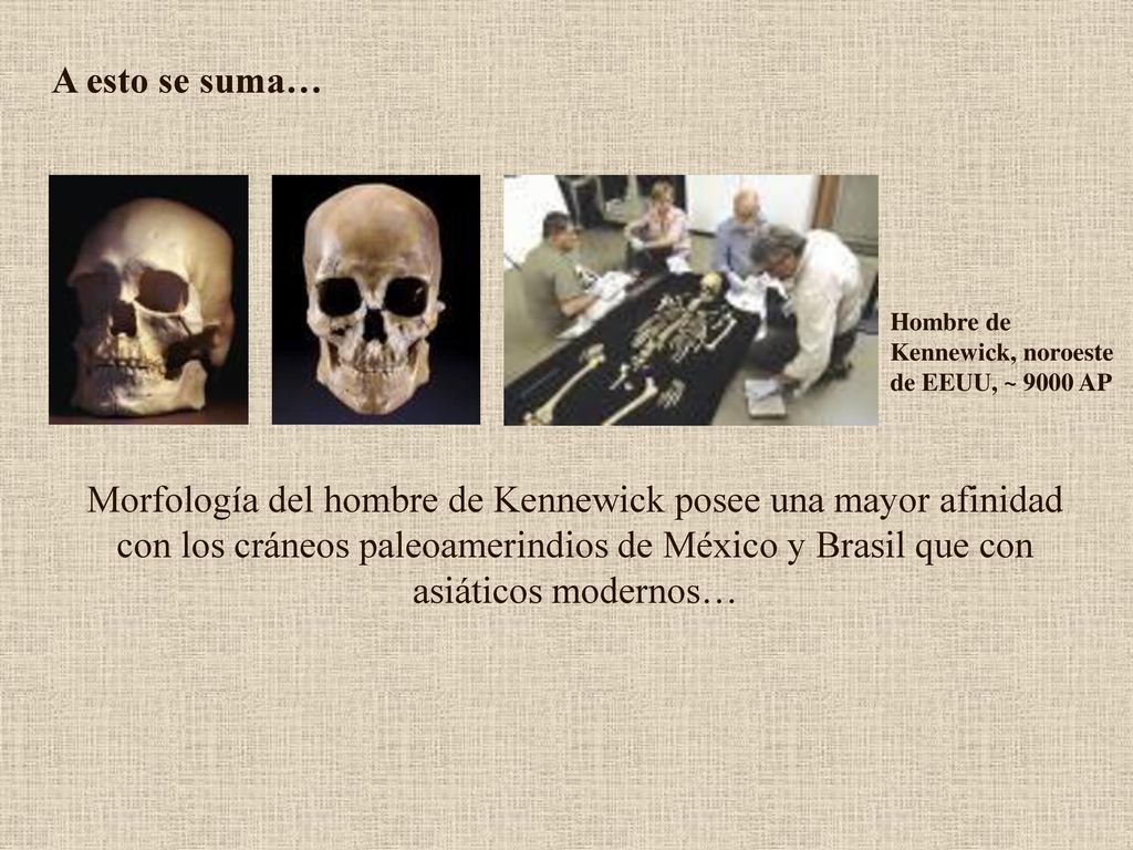 A esto se suma… Hombre de Kennewick, noroeste de EEUU, ~ 9000 AP.