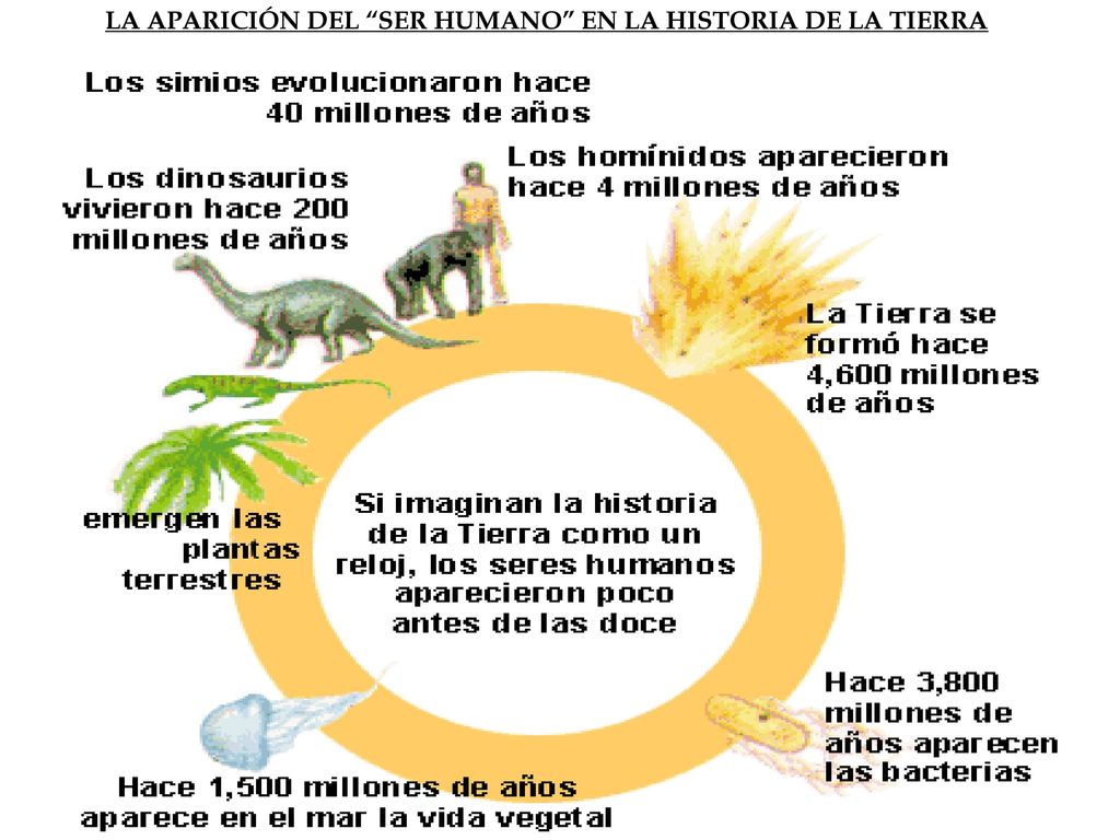 LA APARICIÓN DEL SER HUMANO EN LA HISTORIA DE LA TIERRA