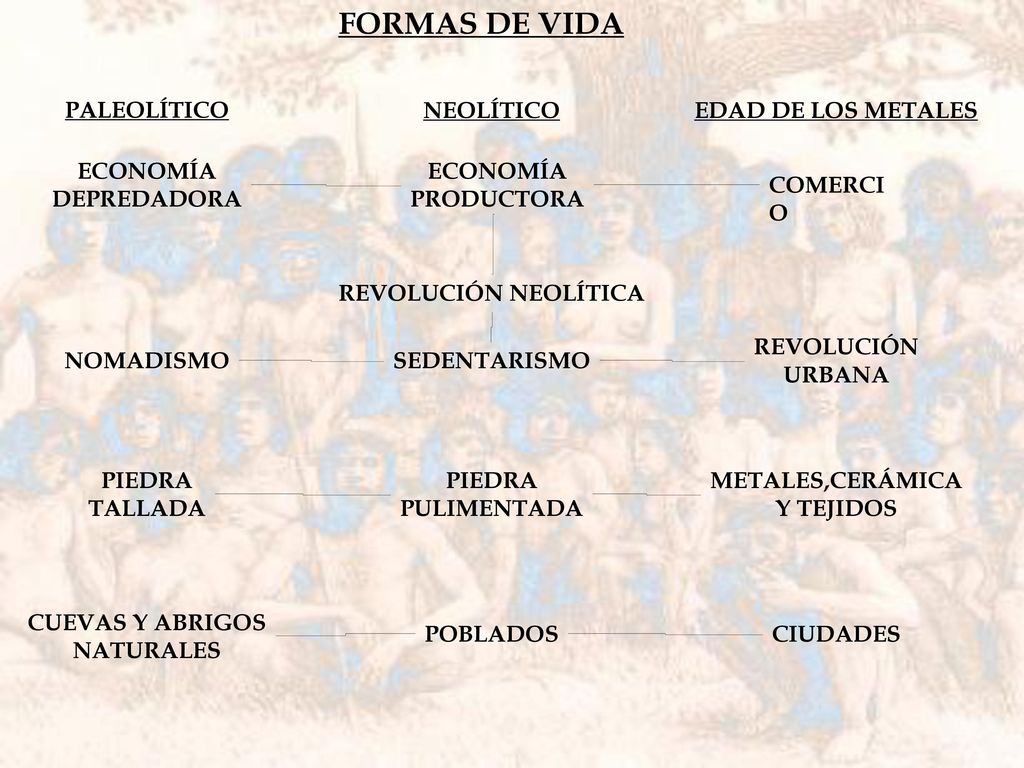 FORMAS DE VIDA PALEOLÍTICO NEOLÍTICO EDAD DE LOS METALES ECONOMÍA