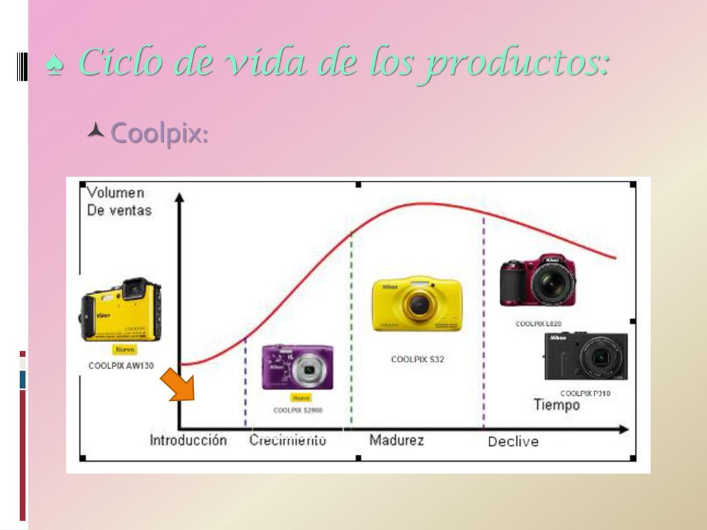 Ciclo de vida de los productos: