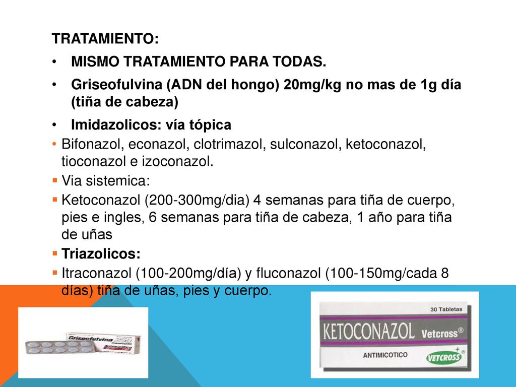 TRATAMIENTO: MISMO TRATAMIENTO PARA TODAS. Griseofulvina (ADN del hongo) 20mg/kg no mas de 1g día (tiña de cabeza)