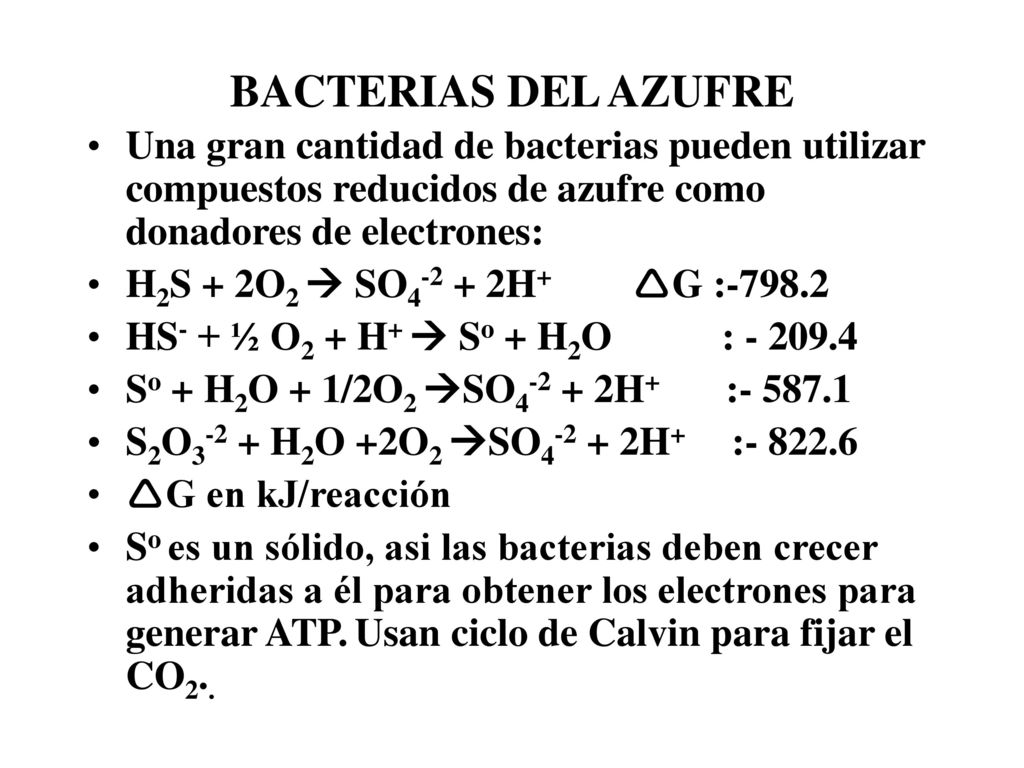 BACTERIAS DEL AZUFRE Una gran cantidad de bacterias pueden utilizar compuestos reducidos de azufre como donadores de electrones: